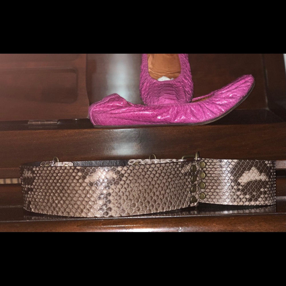 Lanvin, Women’s Taupe Python Belt, Sz 32, LKNW - Picture 3 of 10